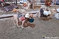 VBS_8393B - Presepe Chiesa di Martinetta Natale 2024